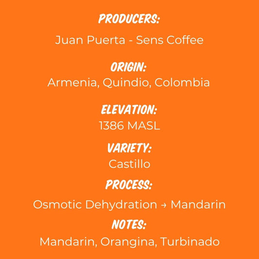 Juan Puerta Mandarin Osmotic Dehydration