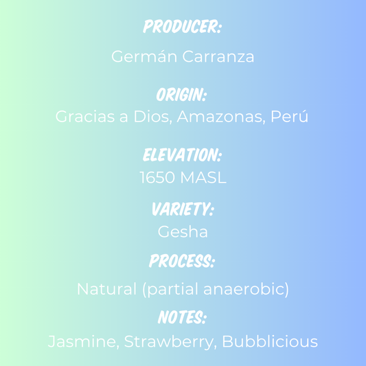 Germán Carranza - Gesha