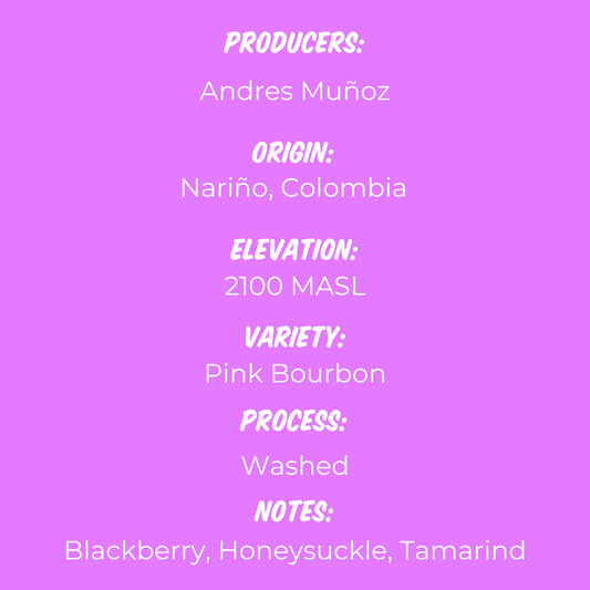 Andres Muñoz Pink Bourbon