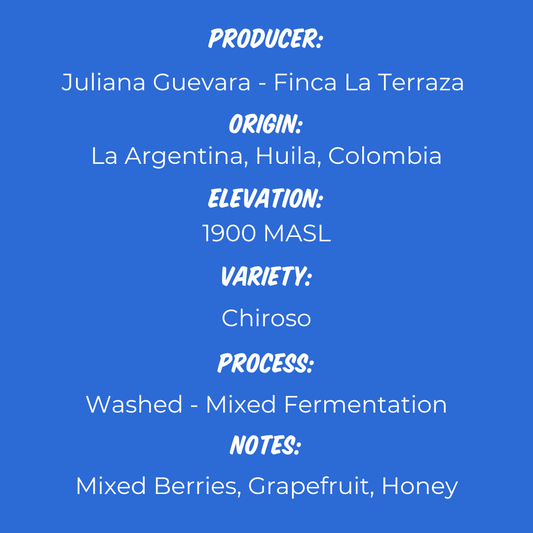 Juliana Guevara - Chiroso (Year 2)