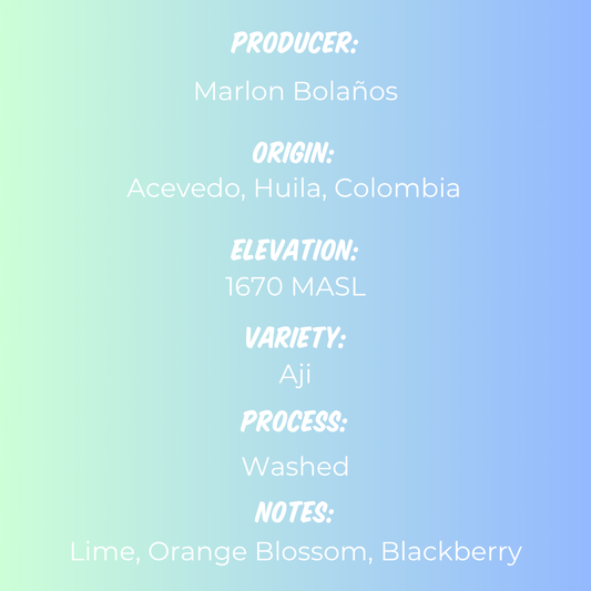 Marlon Bolaños - Aji