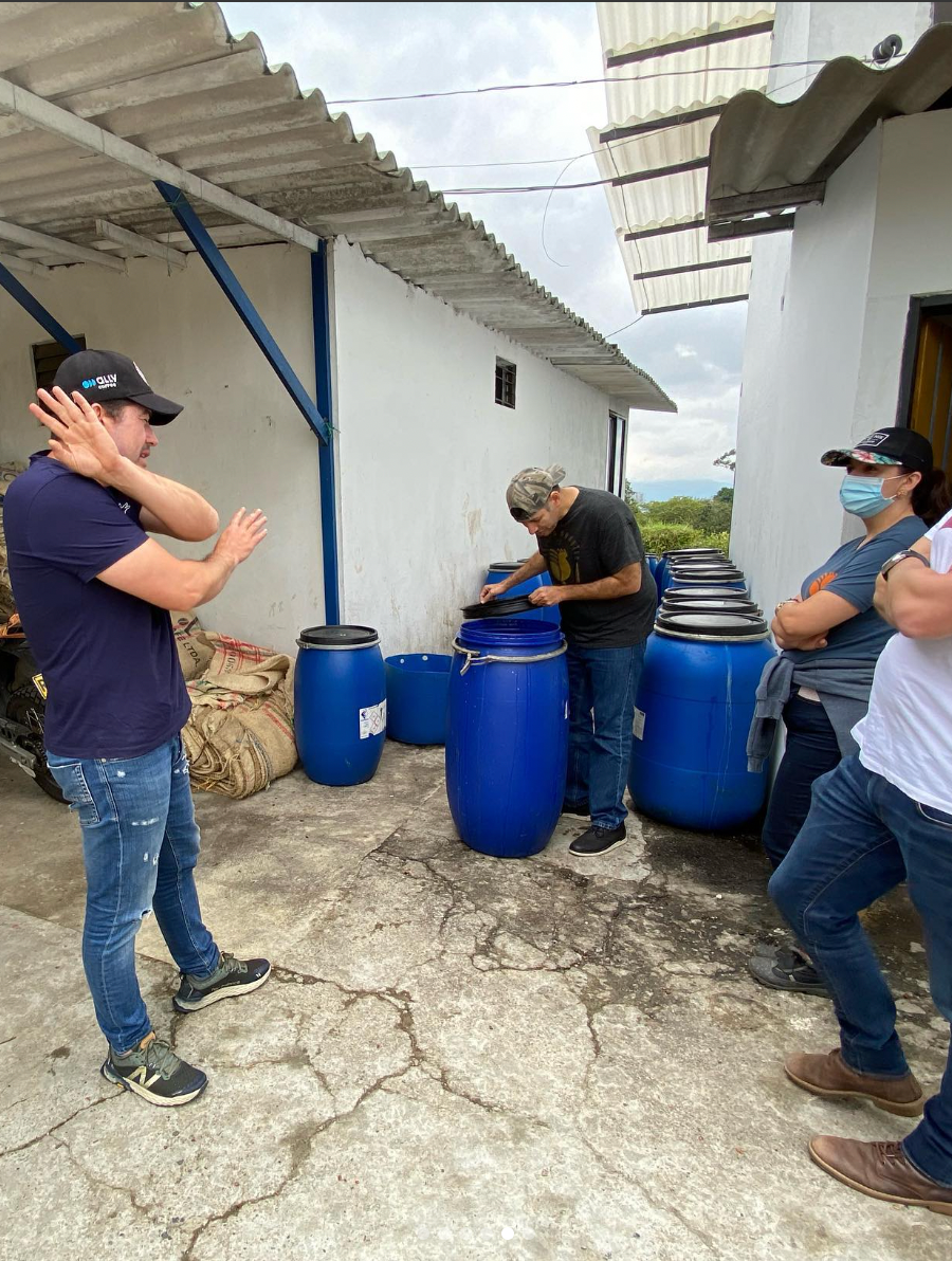 Campo Hermoso Typica