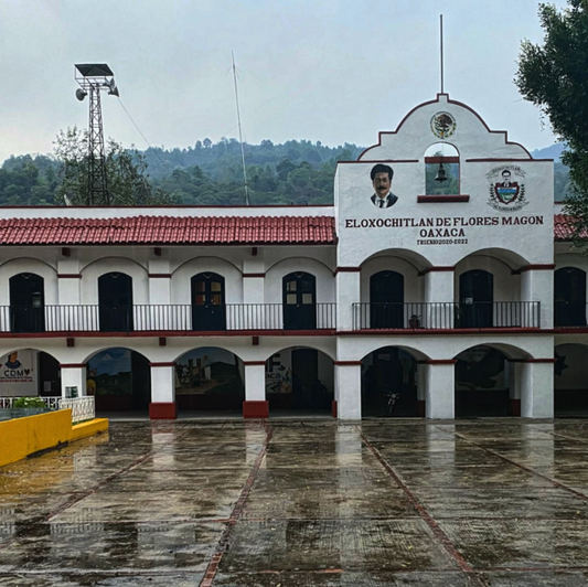 Eloxochitlán de Flores Magón