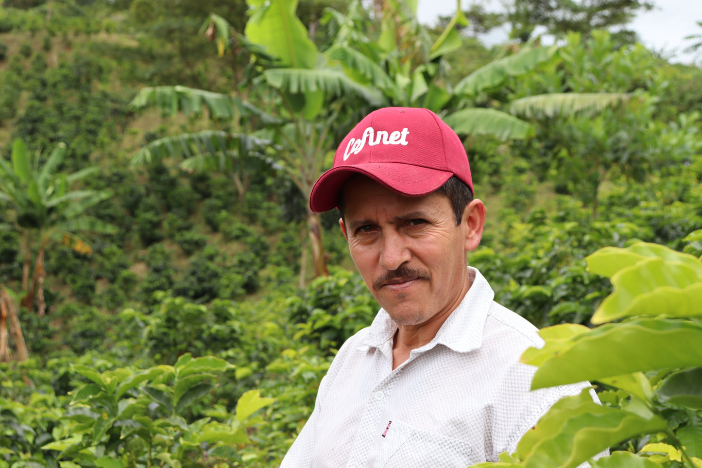 Luis Anibal Calderon Papayo