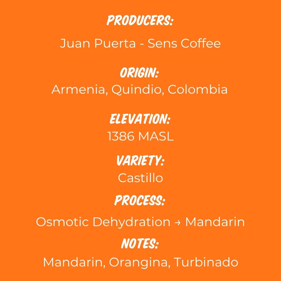 Juan Puerta Mandarin Osmotic Dehydration