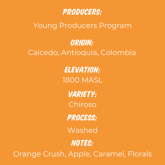 Young Producers Program - Chiroso