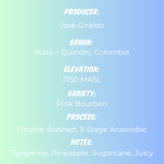 Jose Giraldo Panela Sticky