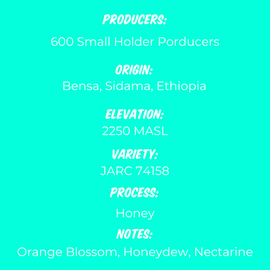 Ethiopia Hamasho Honey