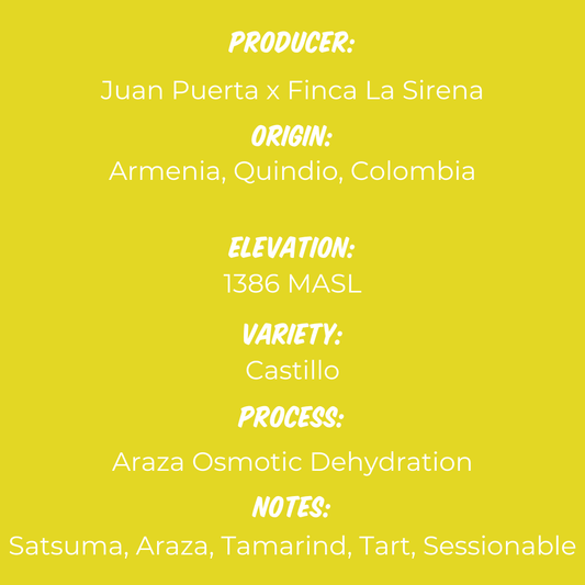 Juan Puerta Araza Osmotic Dehydration