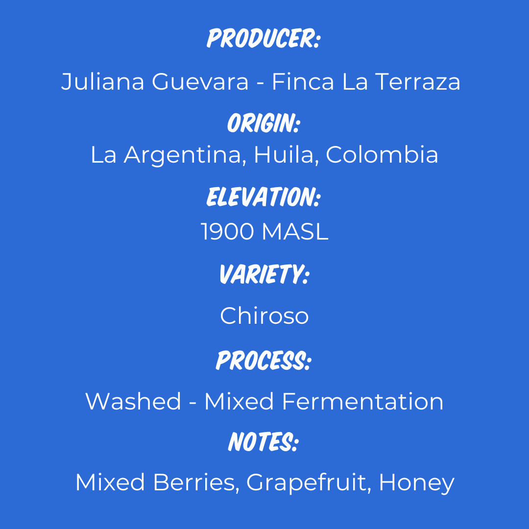 Juliana Guevara - Chiroso (Year 2)