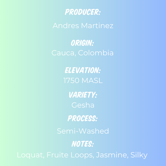 Andres Martinez Gesha