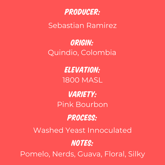 Sebastian Ramírez Pink Bourbon