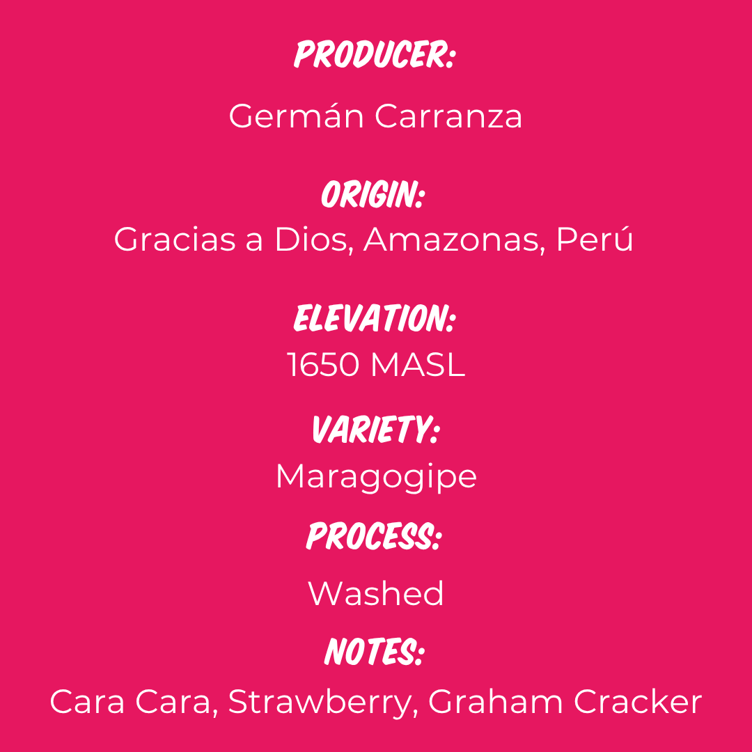 Germán Carranza - Maragogipe