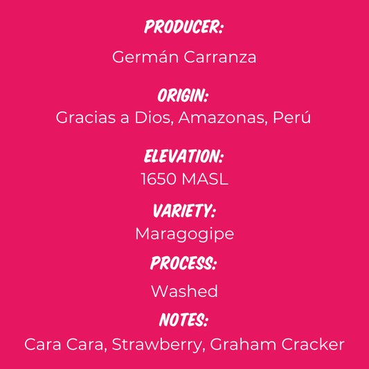 Germán Carranza - Maragogipe