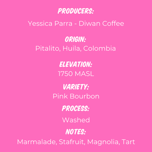 Yessica Parra - Pink Bourbon