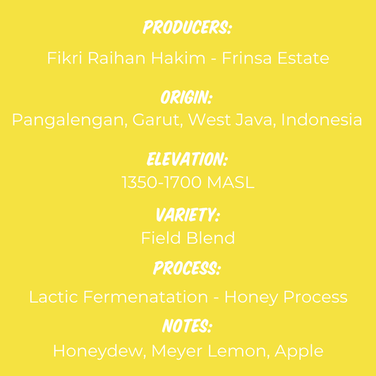 Frinsa Lactic Honey
