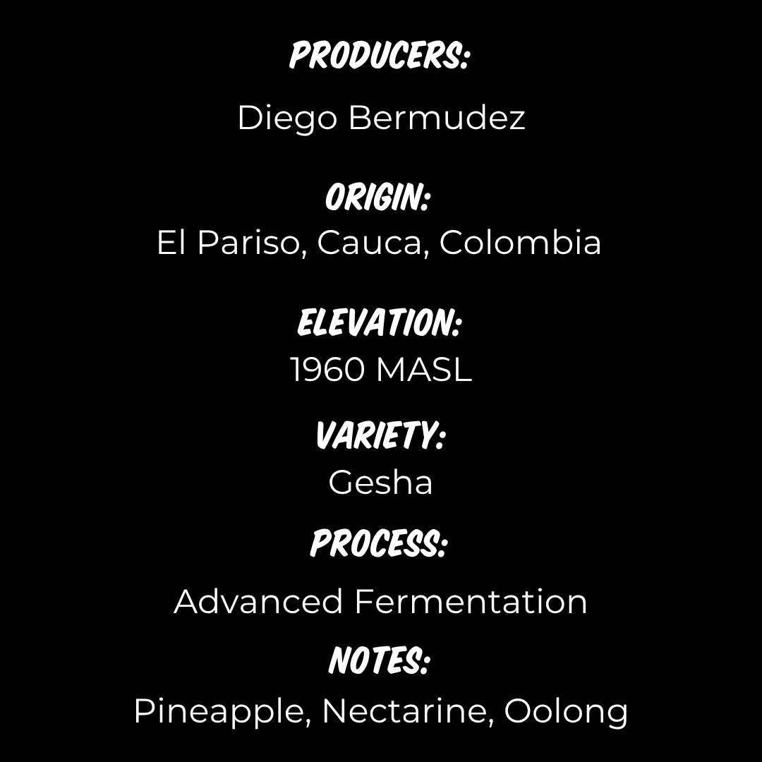 Diego Bermudez - Letty Gesha