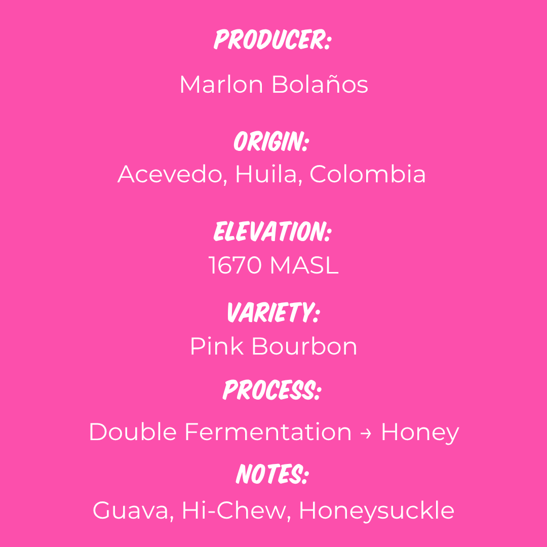 Marlon Bolaños - Pink Bourbon Honey