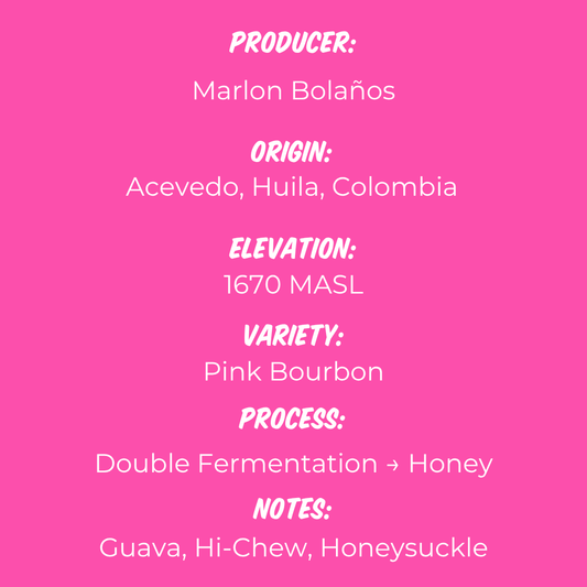 Marlon Bolaños - Pink Bourbon Honey