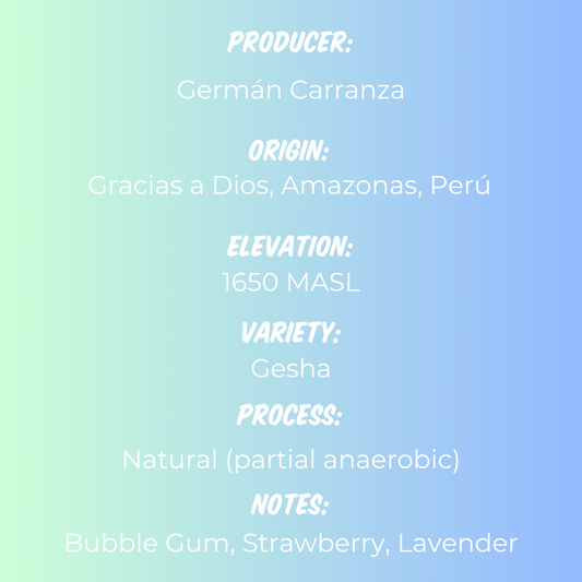 Germán Carranza - Gesha (year 2)