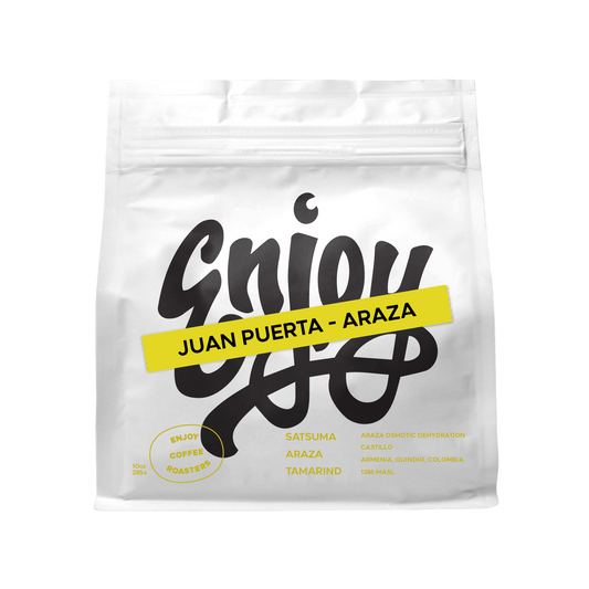 Juan Puerta Araza Osmotic Dehydration