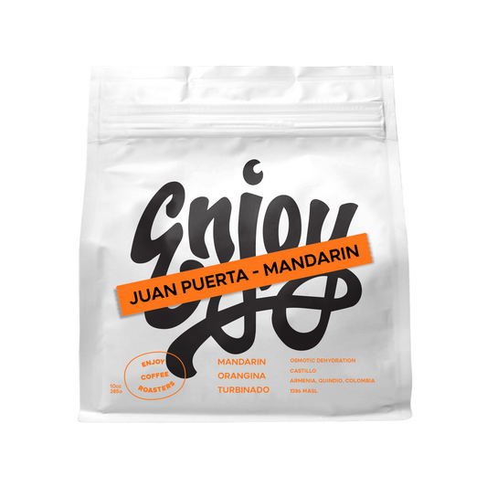 Juan Puerta Mandarin Osmotic Dehydration