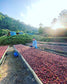 Sirinya Natural