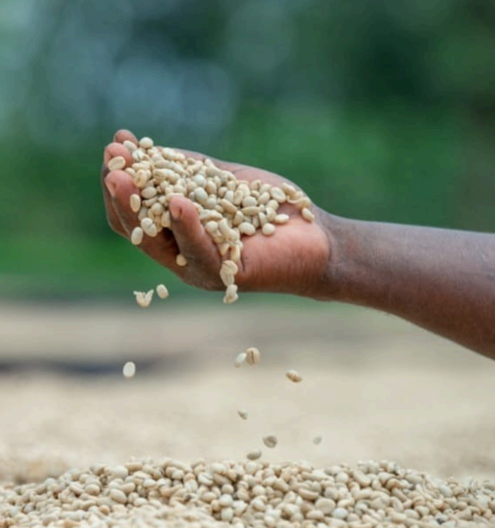 Ngugu-ini