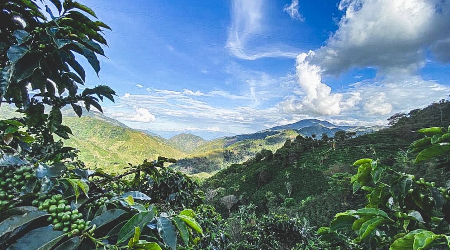 Finca La Pradera