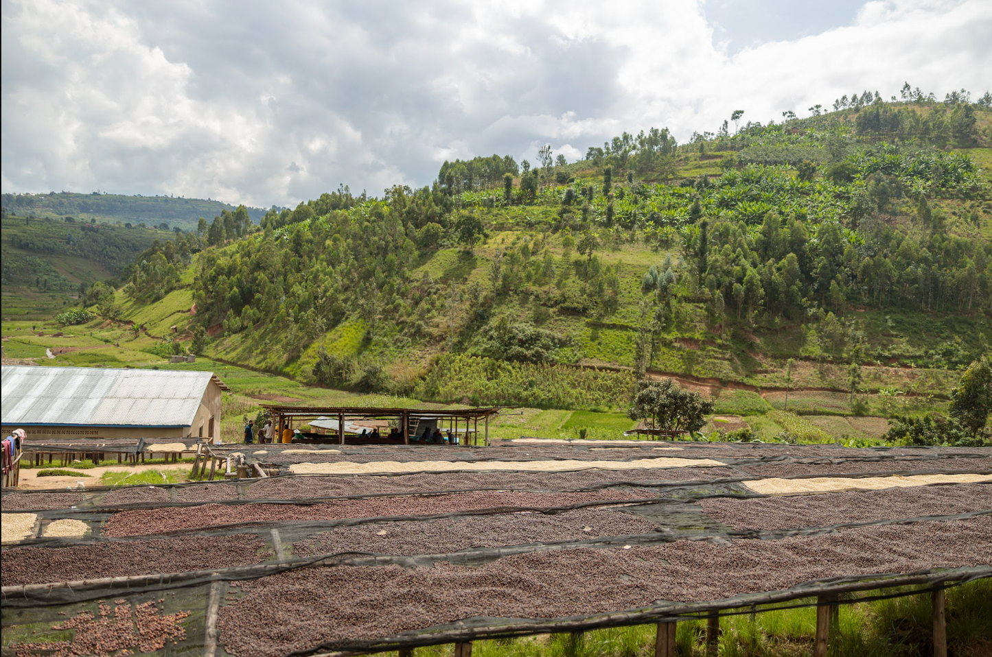 Kiyonza Hill
