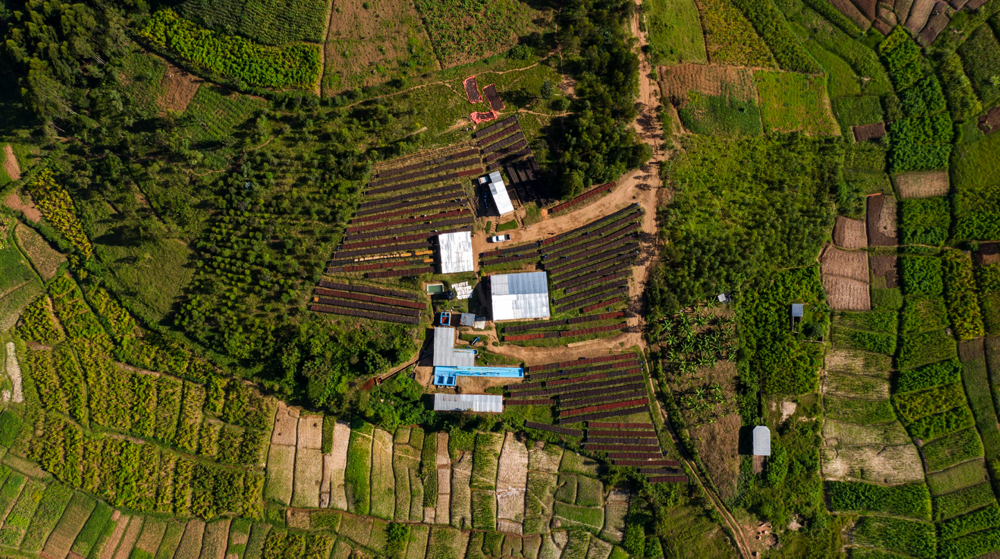 Kiyonza Hill