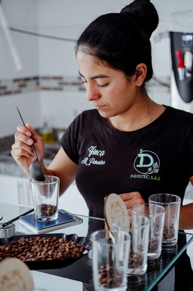 Diego Bermudez - Letty Gesha